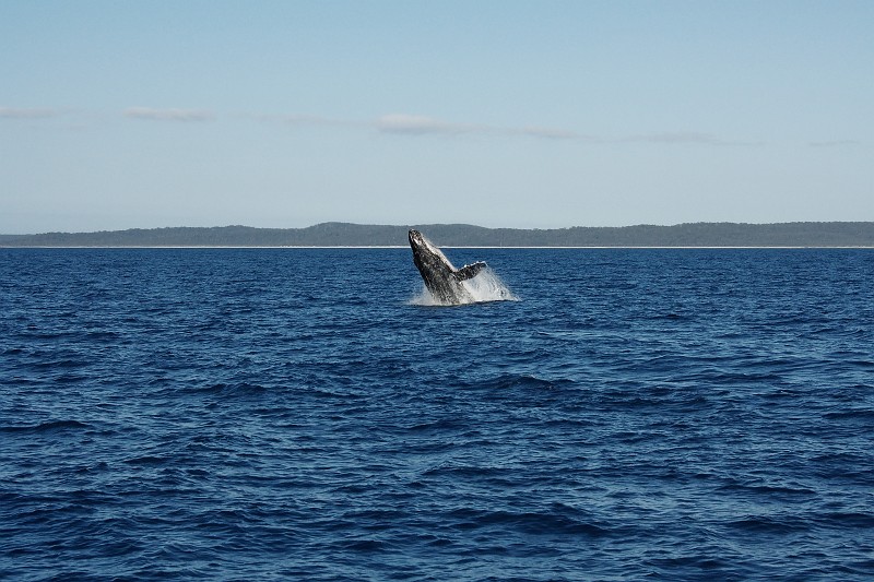 2009-11-06 22-04-31_1.jpg - ...mal frische Luft schnappen...